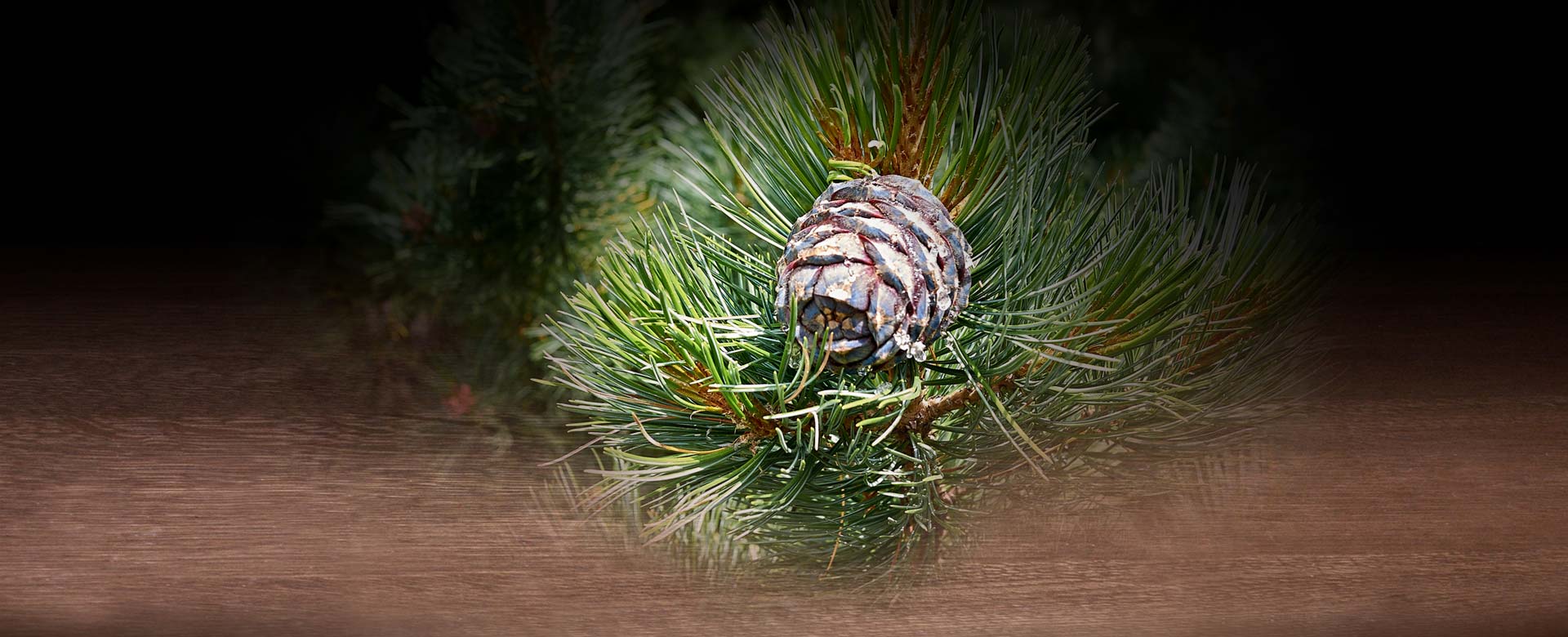 Schnaps Express Schwab - Zirben Schnaps